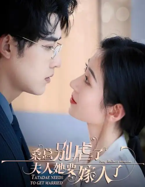 长风渡月热播电视剧全集在线观看